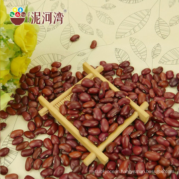 340-350grain/100g,smaller size,red kidney bean,